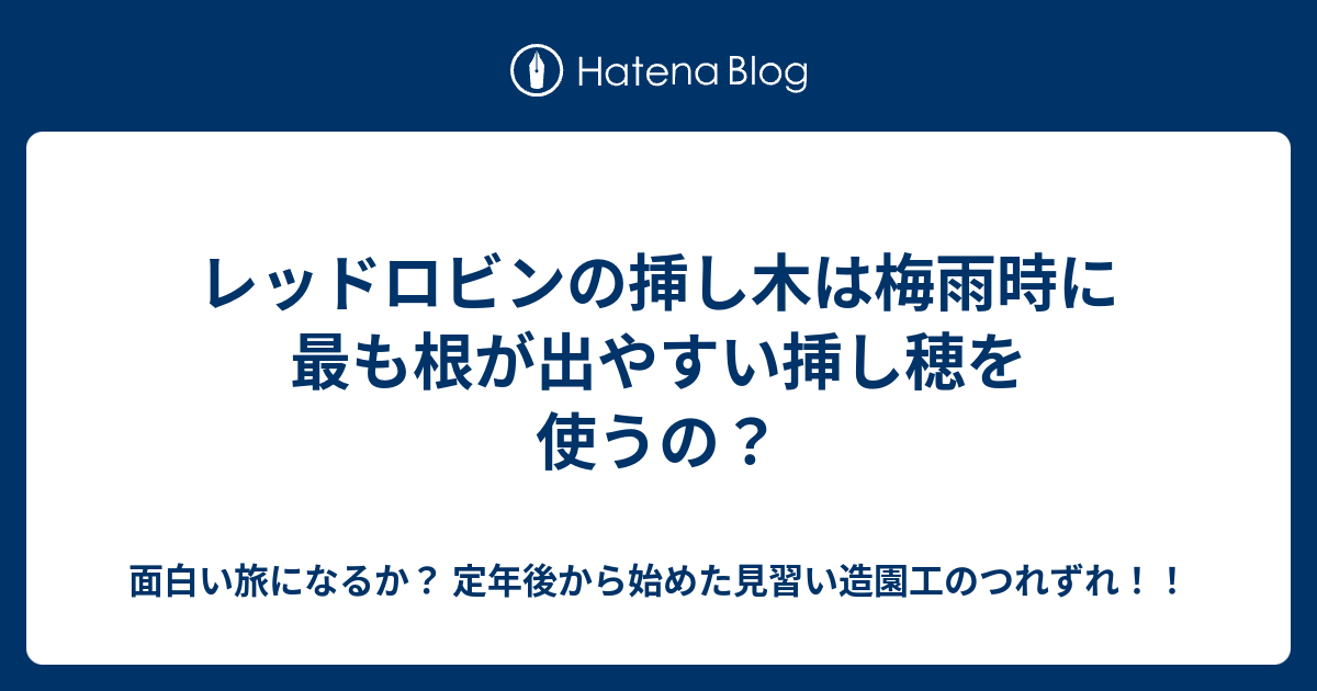 レッドロビンの挿し木は梅雨時に最も根が出やすい挿し穂を使うの 面白い旅になるか 定年後から始めた見習い造園工のつれずれ