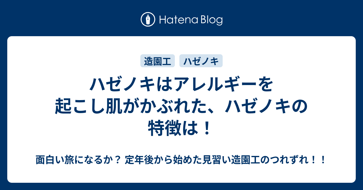 ハゼノキはアレルギーを起こし肌がかぶれた ハゼノキの特徴は 面白い旅になるか 定年後から始めた見習い造園工のつれずれ