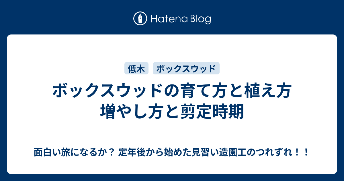 ボックスウッドの育て方と植え方 増やし方と剪定時期 面白い旅になるか 定年後から始めた見習い造園工のつれずれ