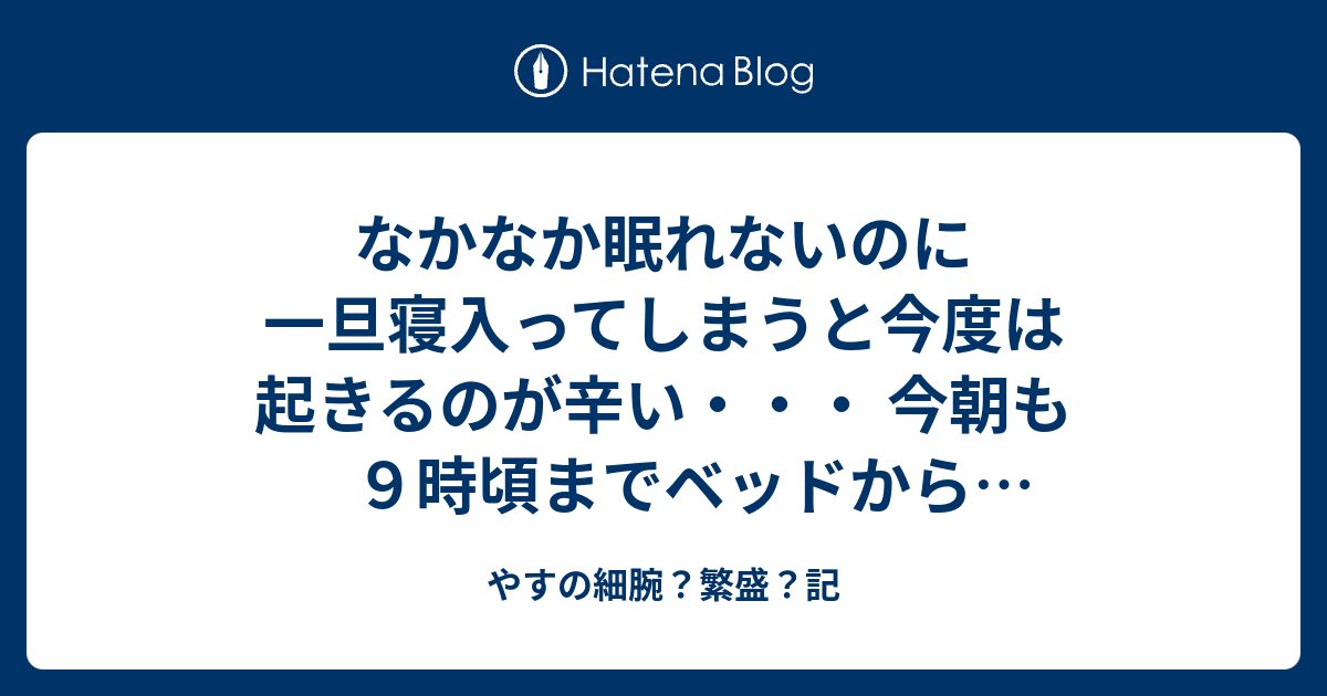 やすの細腕 繁盛 記