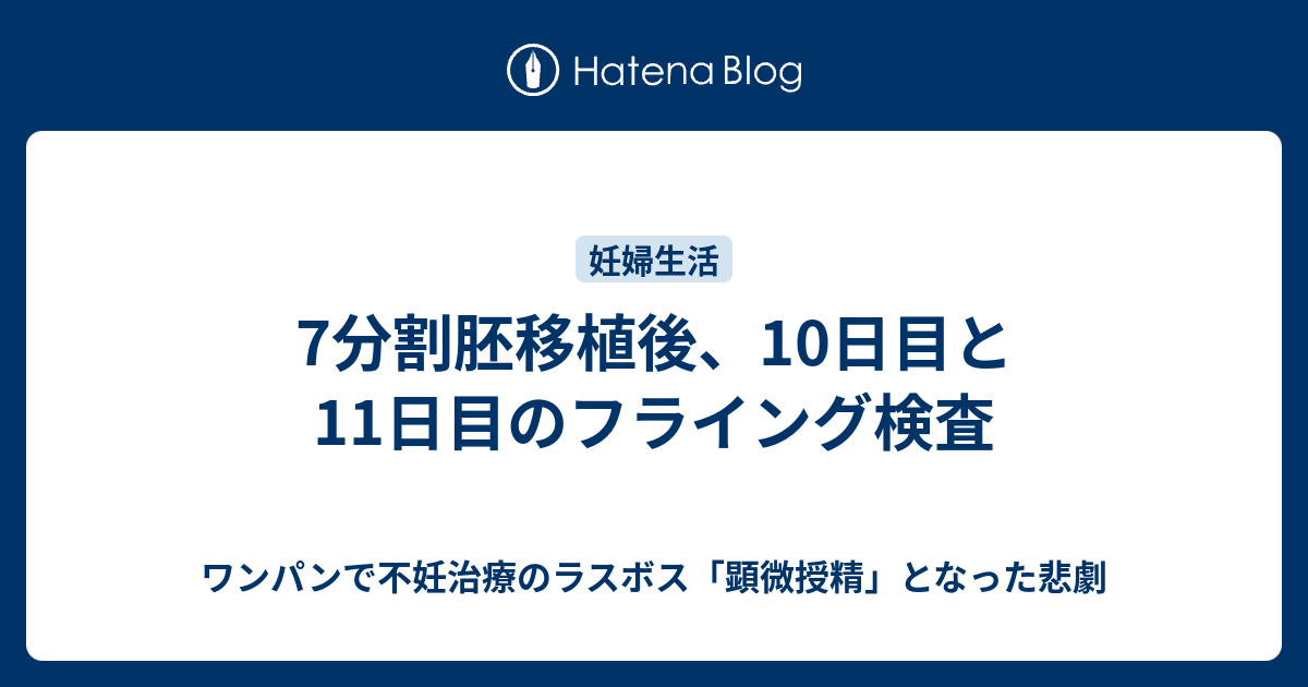 フライング 胚移植10日目