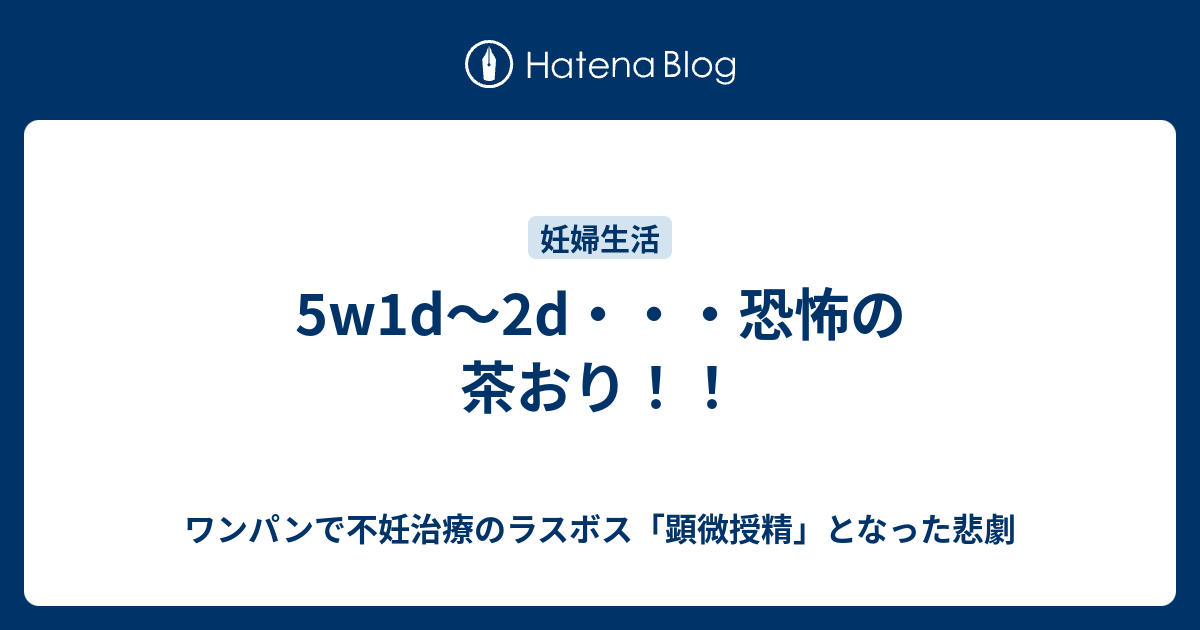 妊娠初期茶オリ 妊娠初期の茶おりの原因とは 最も危険な２つの症状